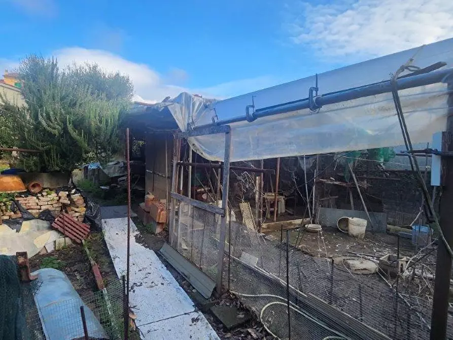 Immagine 24 di Rustico / casale in vendita  a Vicopisano