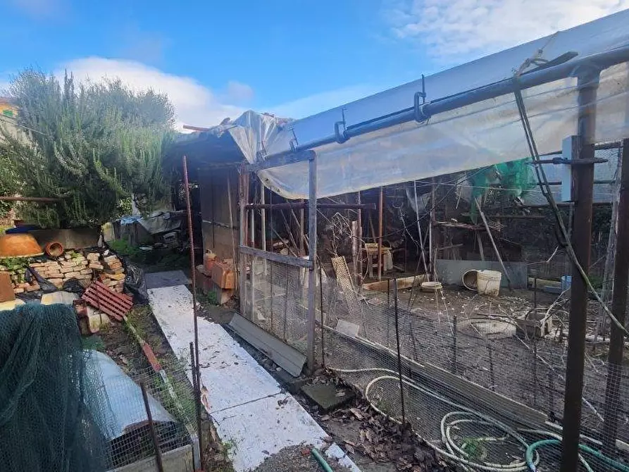 Immagine 23 di Rustico / casale in vendita  a Vicopisano