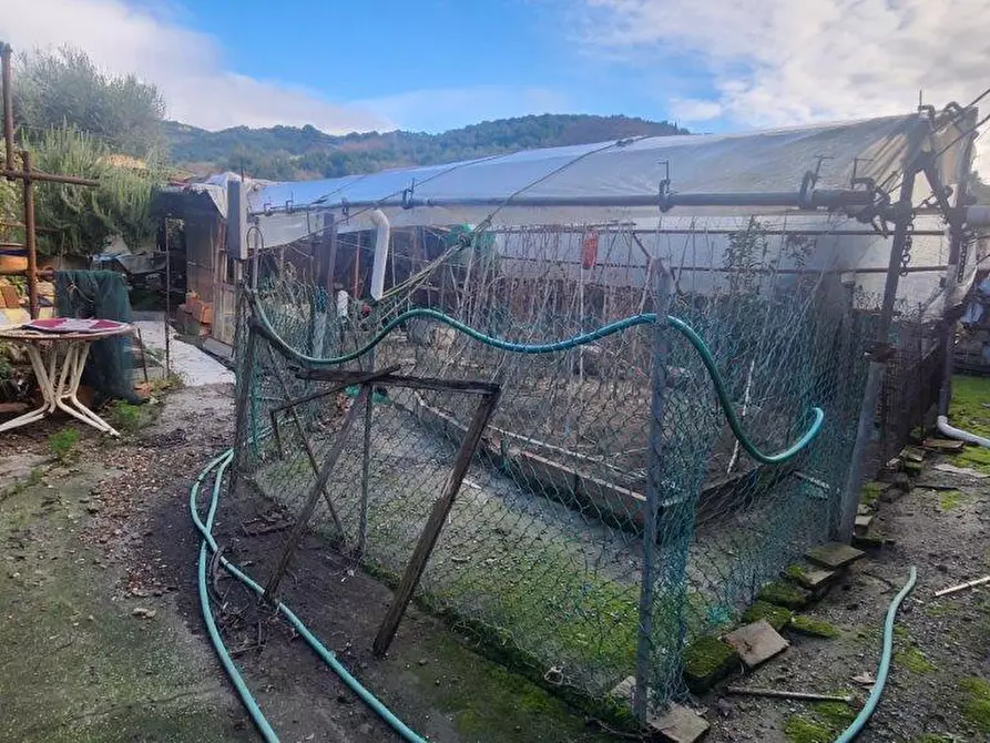 Immagine 26 di Rustico / casale in vendita  a Vicopisano