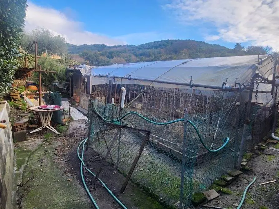 Immagine 25 di Rustico / casale in vendita  a Vicopisano