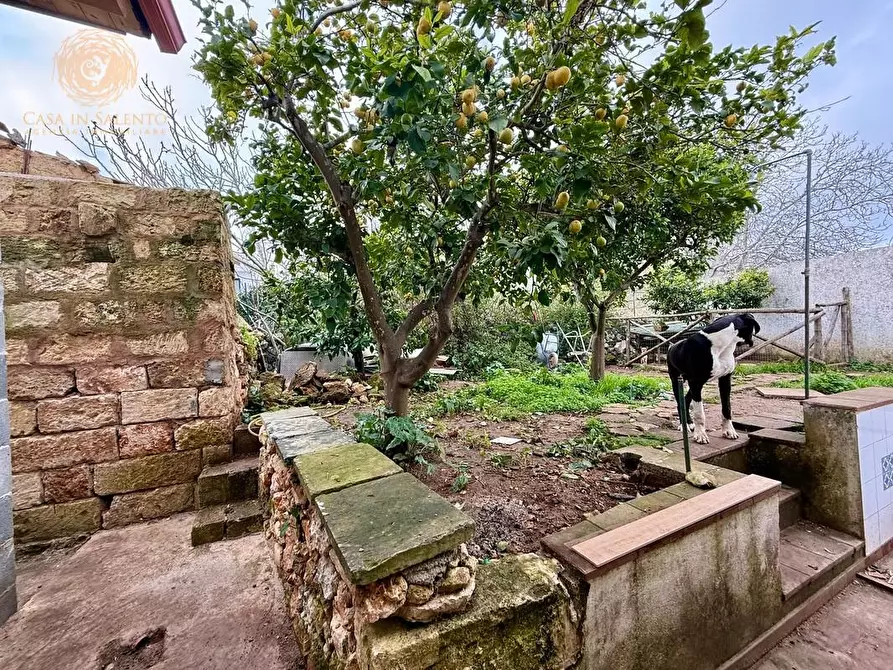 Immagine 31 di Casa indipendente in vendita  a Gagliano Del Capo