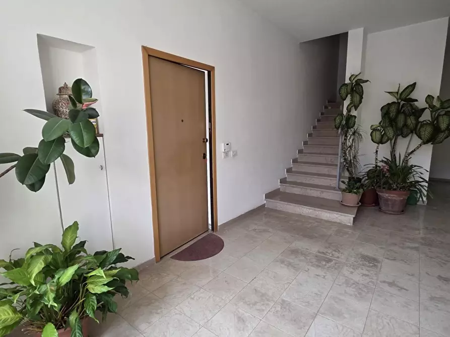 Immagine 34 di Appartamento in vendita  a Camaiore