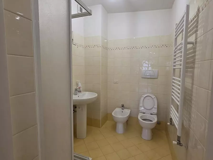 Immagine 19 di Appartamento in vendita  a Camaiore