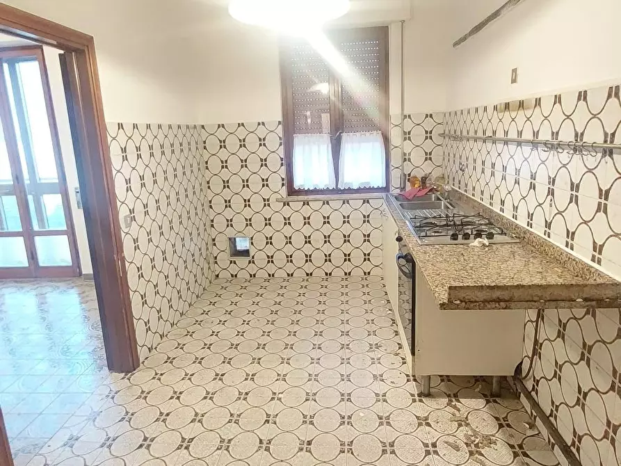 Immagine 7 di Appartamento in vendita  a Buti