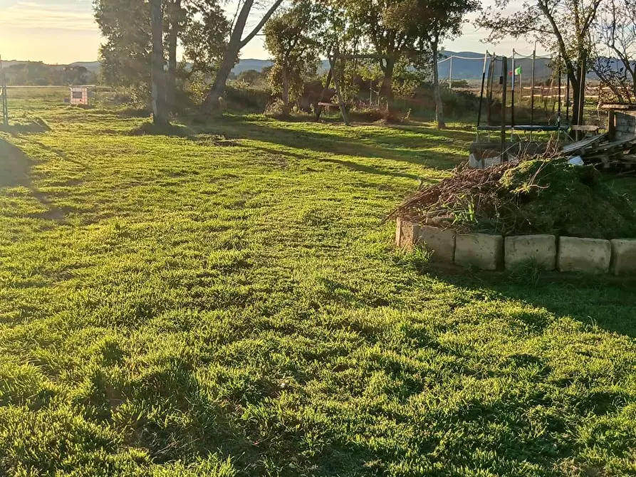 Immagine 15 di Casa colonica in vendita  a Cinigiano