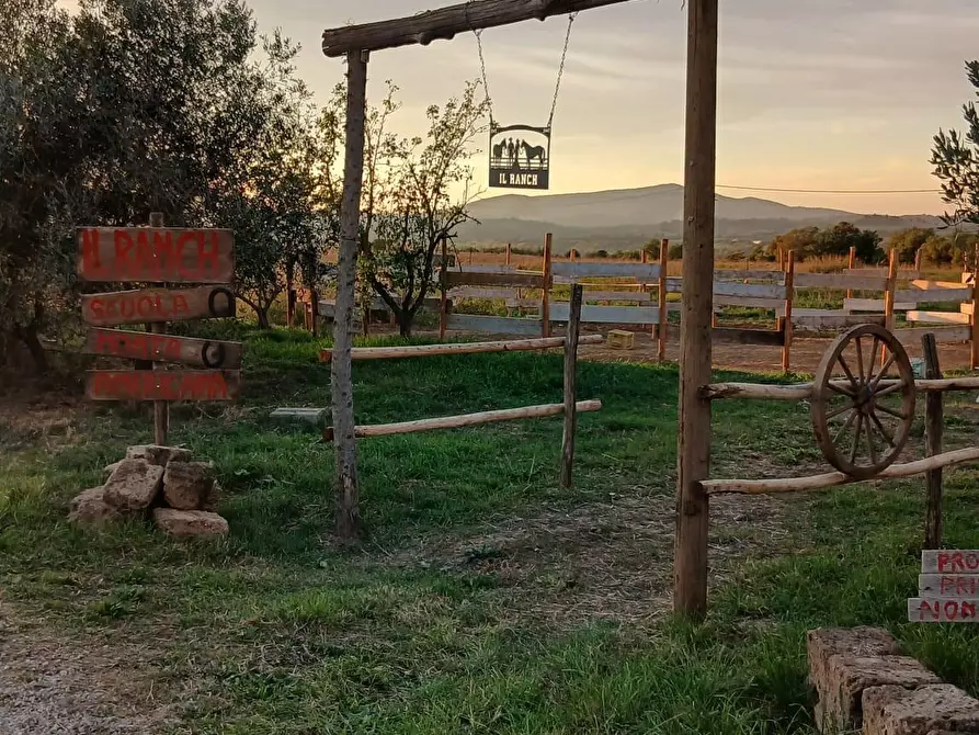 Immagine 13 di Casa colonica in vendita  a Cinigiano