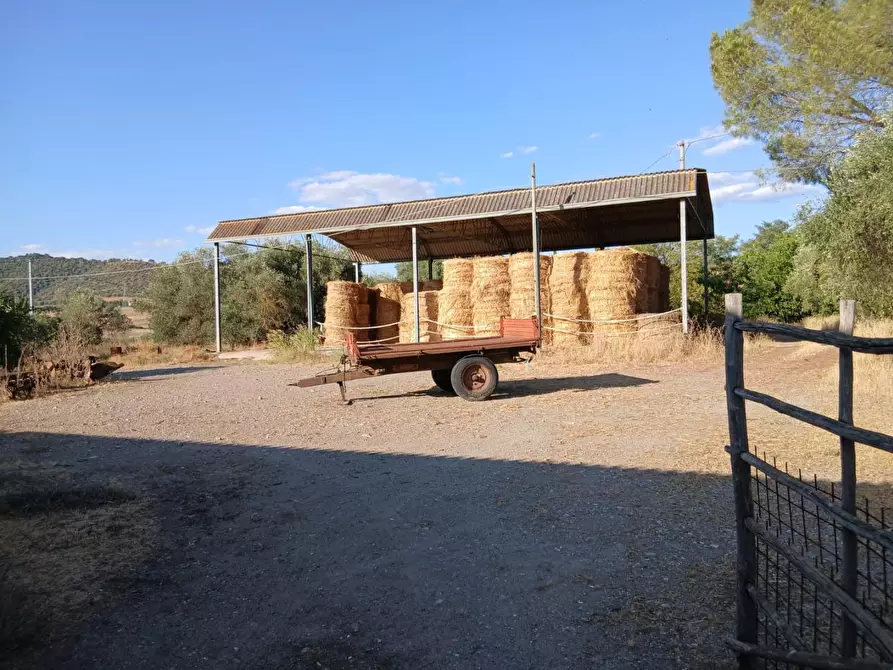 Immagine 23 di Casa colonica in vendita  a Cinigiano