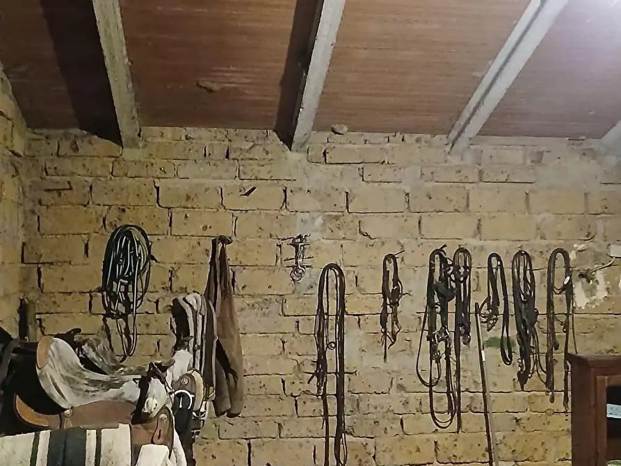 Immagine 5 di Casa colonica in vendita  a Cinigiano