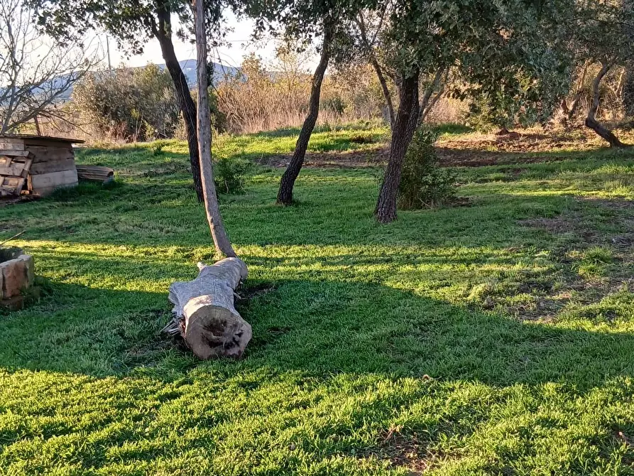 Immagine 28 di Casa colonica in vendita  a Cinigiano