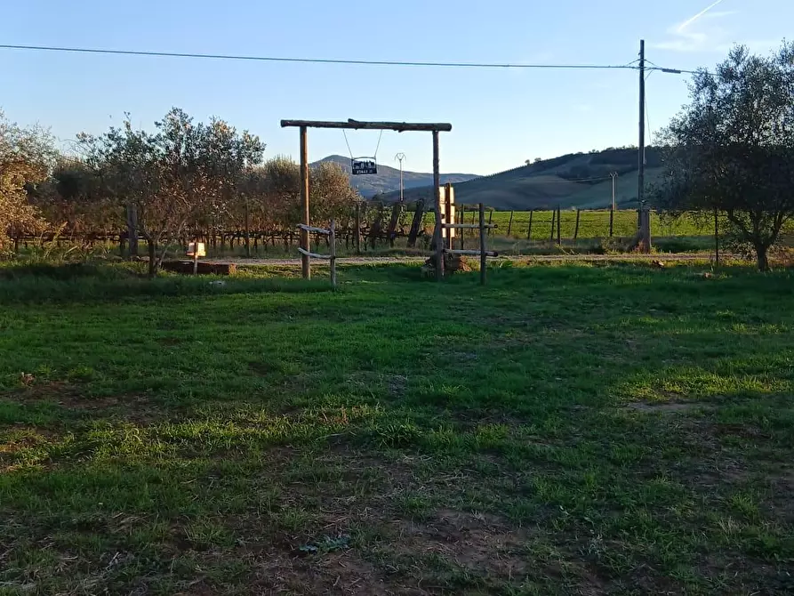 Immagine 14 di Casa colonica in vendita  a Cinigiano