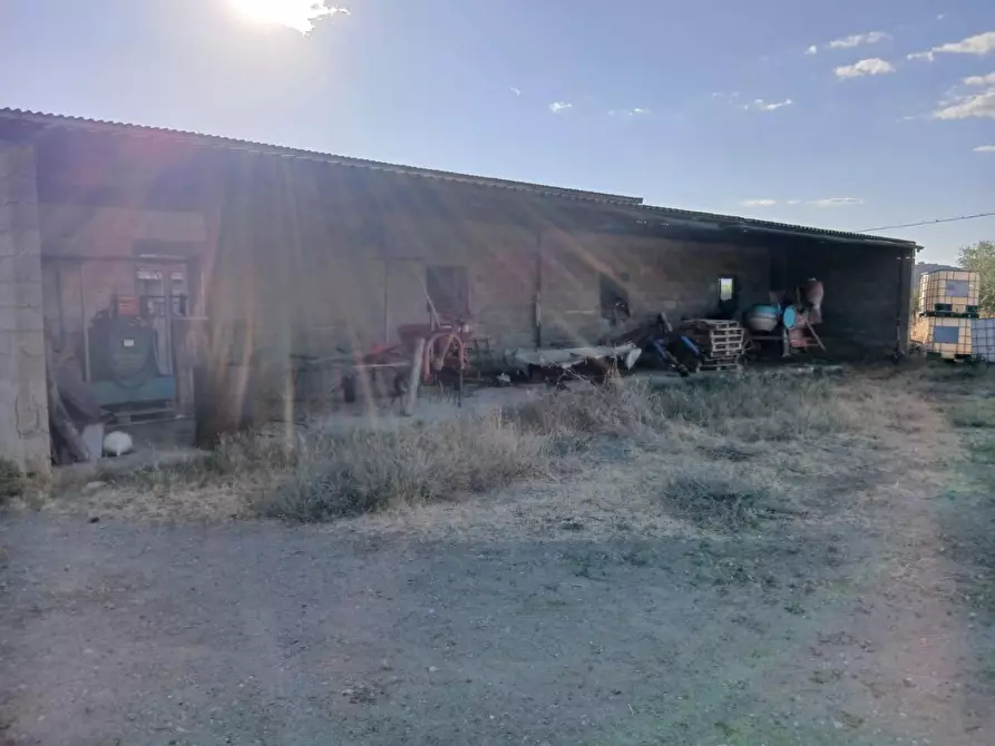 Immagine 22 di Casa colonica in vendita  a Cinigiano