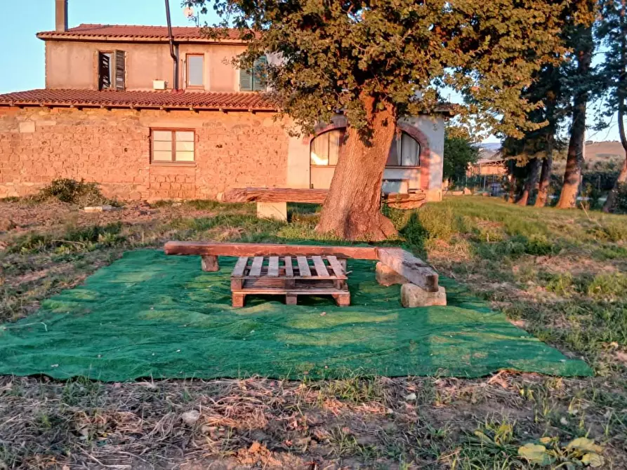 Immagine 17 di Casa colonica in vendita  a Cinigiano