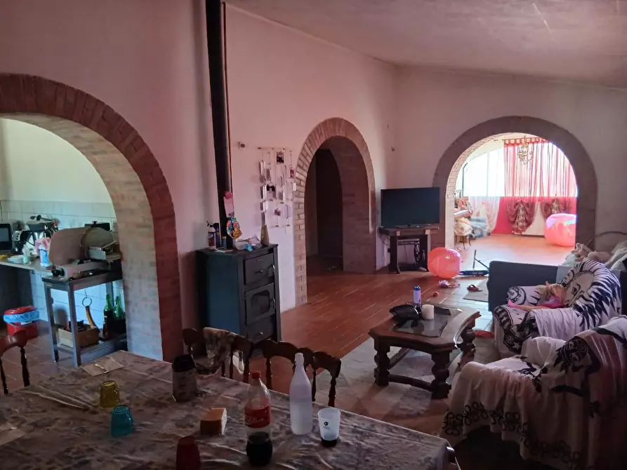 Immagine 31 di Casa colonica in vendita  a Cinigiano