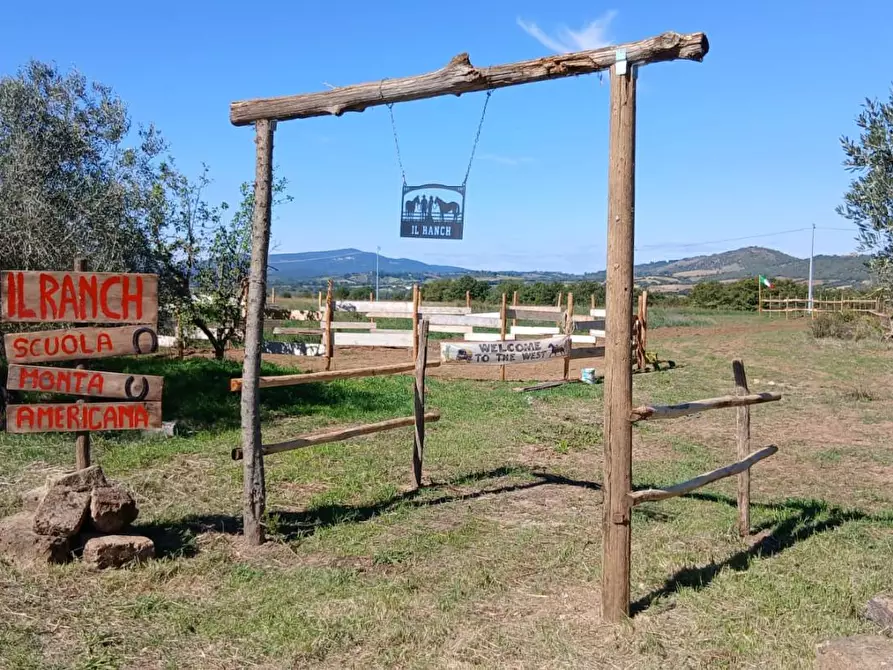 Immagine 10 di Casa colonica in vendita  a Cinigiano