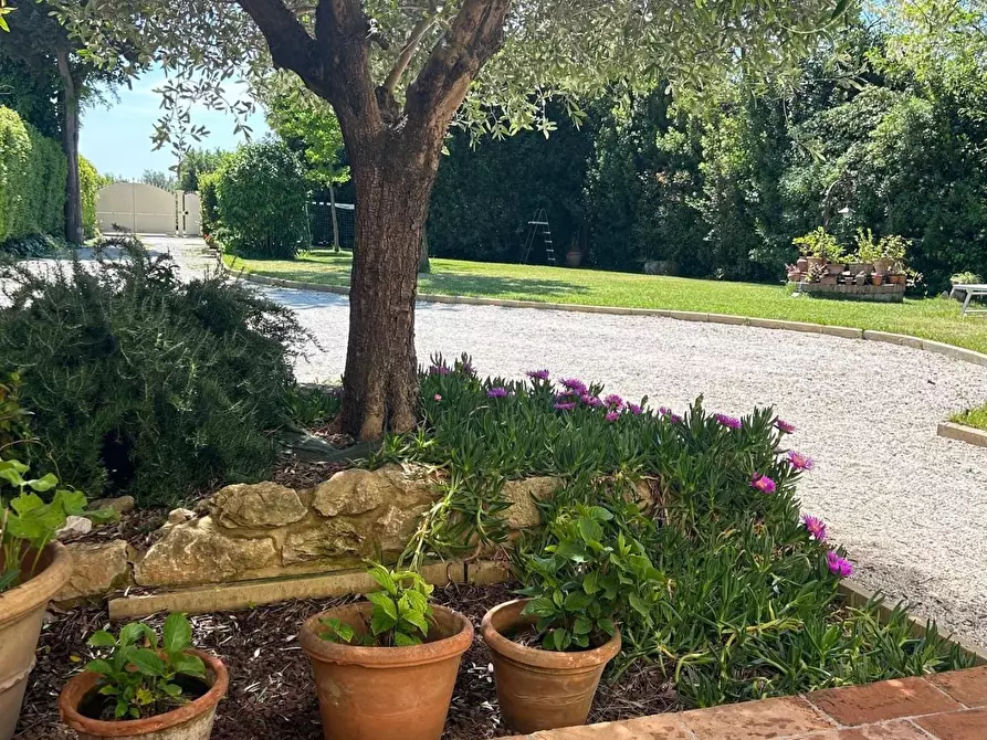 Immagine 59 di Casa semindipendente in vendita  a Cecina