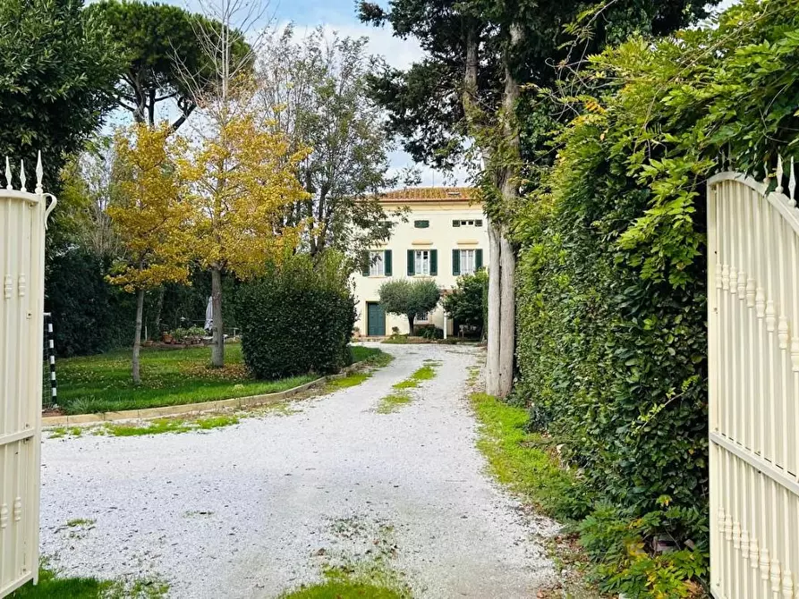 Immagine 3 di Casa semindipendente in vendita  a Cecina