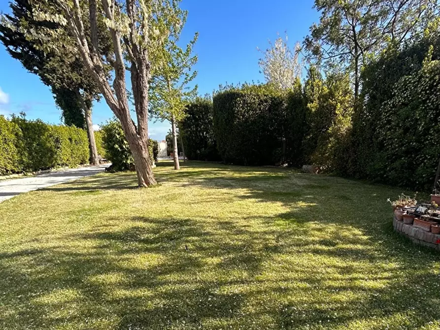 Immagine 41 di Casa semindipendente in vendita  a Cecina
