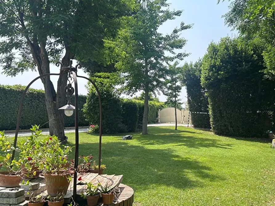 Immagine 5 di Casa semindipendente in vendita  a Cecina