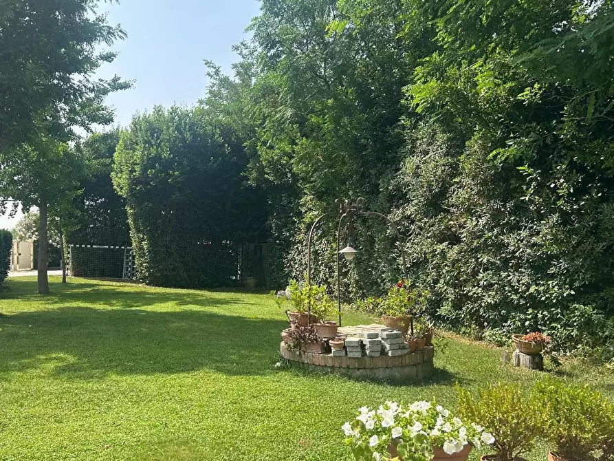 Immagine 56 di Casa semindipendente in vendita  a Cecina