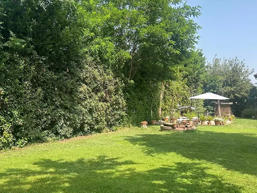 Immagine 8 di Casa semindipendente in vendita  a Cecina