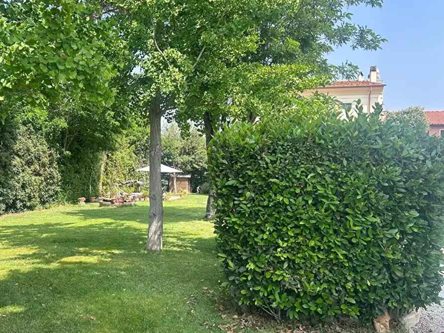 Immagine 4 di Casa semindipendente in vendita  a Cecina