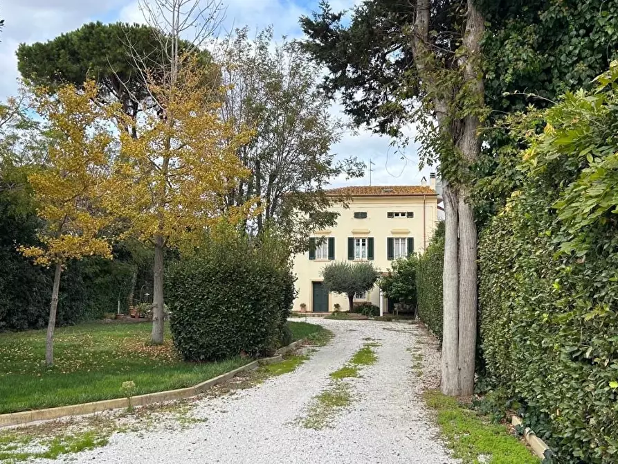 Immagine 6 di Casa semindipendente in vendita  a Cecina