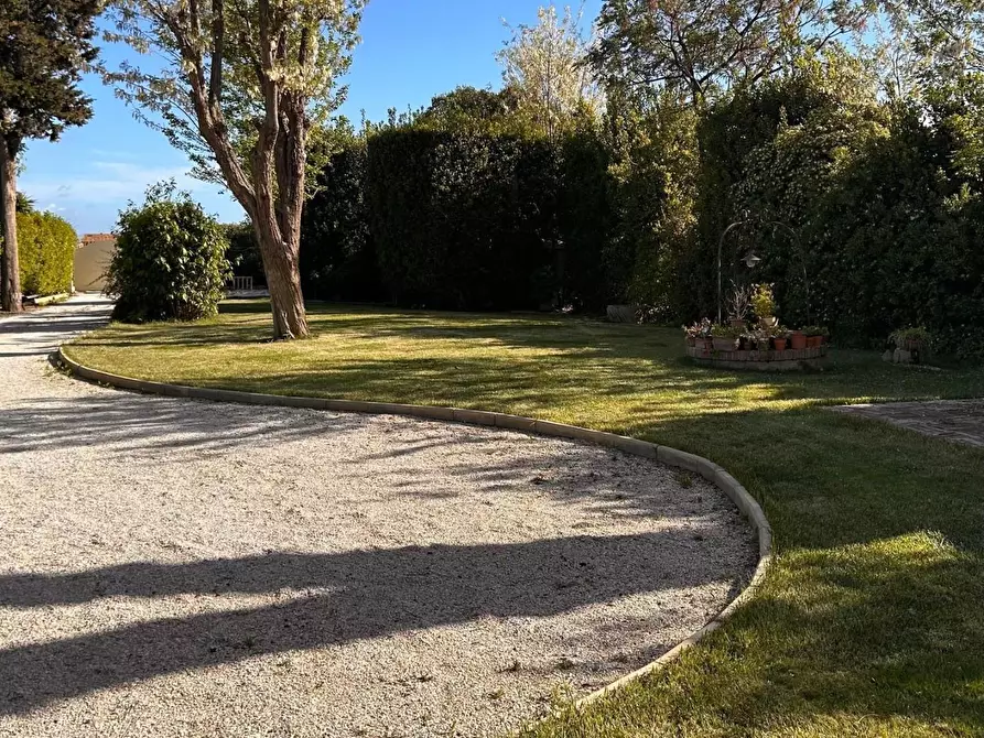 Immagine 31 di Casa semindipendente in vendita  a Cecina