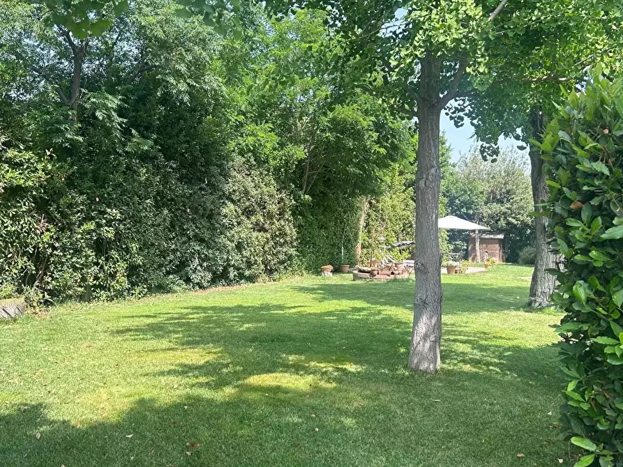 Immagine 78 di Casa semindipendente in vendita  a Cecina