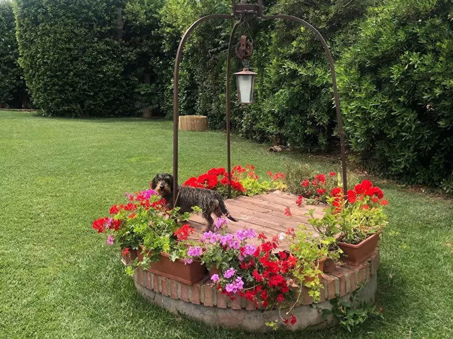 Immagine 34 di Casa semindipendente in vendita  a Cecina