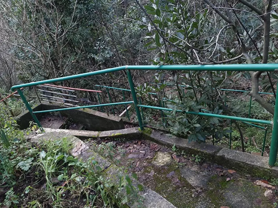 Immagine 32 di Casa semindipendente in vendita  a Buti