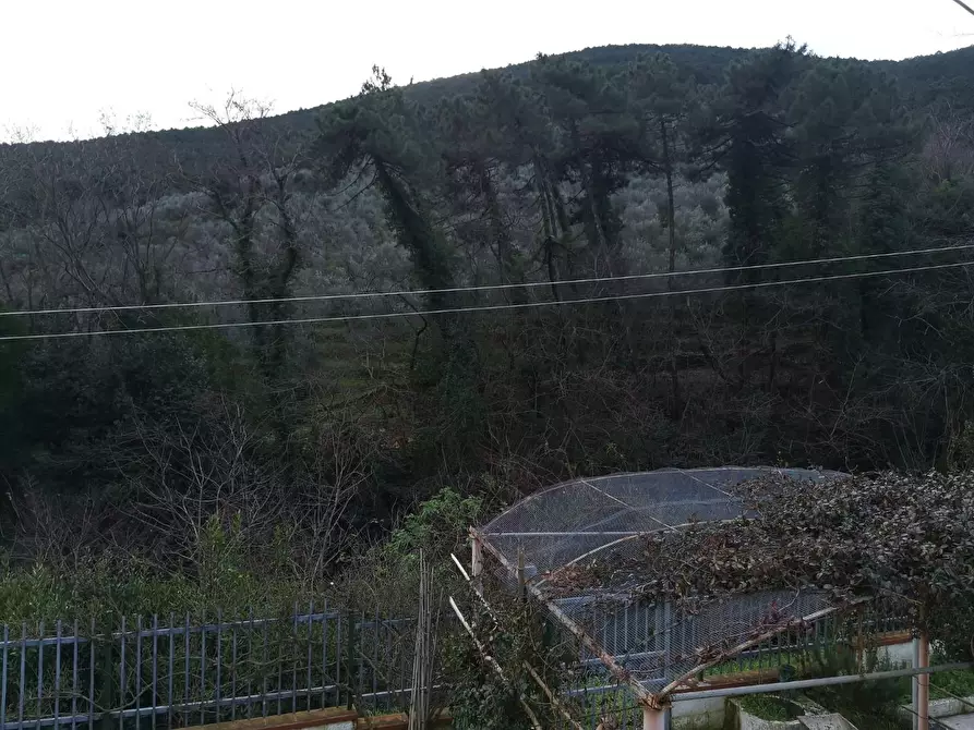 Immagine 11 di Casa semindipendente in vendita  a Buti