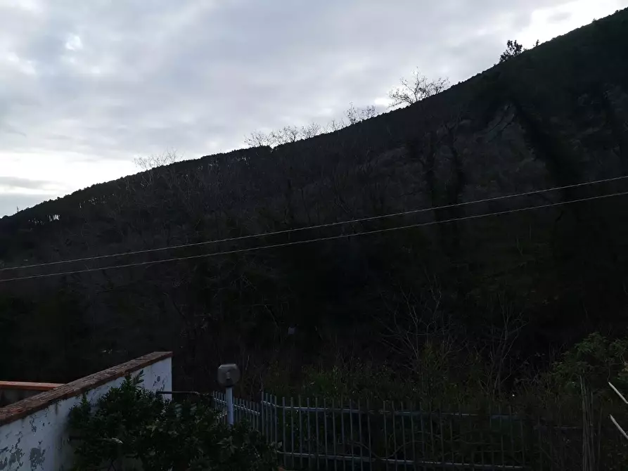 Immagine 12 di Casa semindipendente in vendita  a Buti