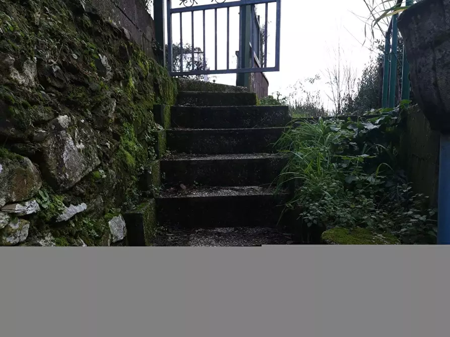 Immagine 31 di Casa semindipendente in vendita  a Buti