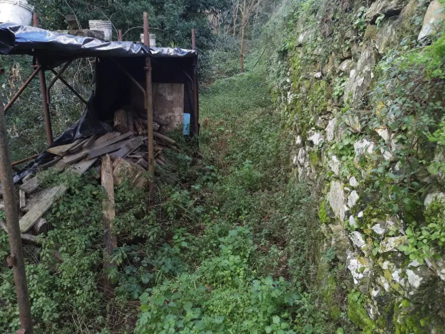 Immagine 30 di Casa semindipendente in vendita  a Buti
