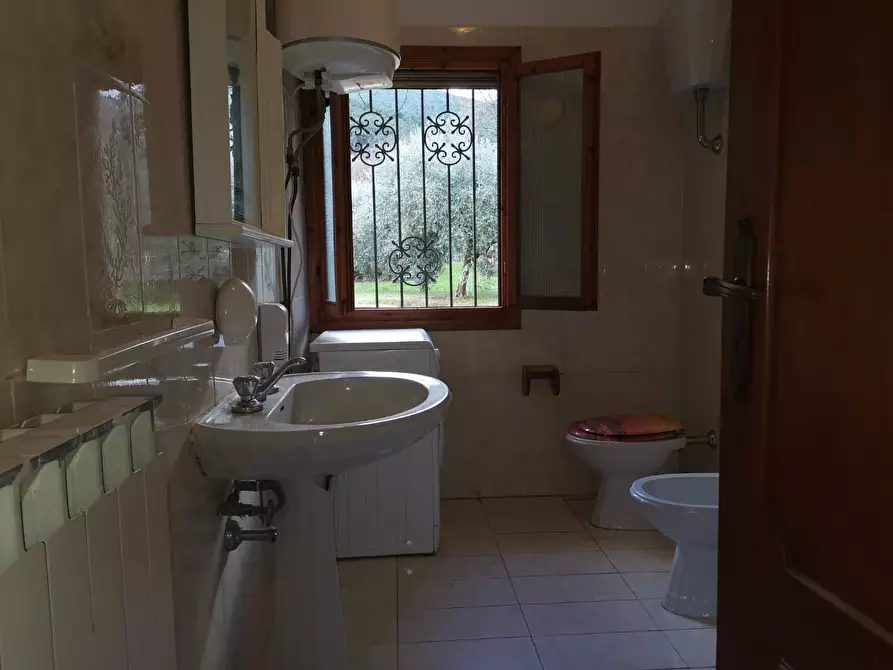 Immagine 18 di Casa semindipendente in vendita  a Buti