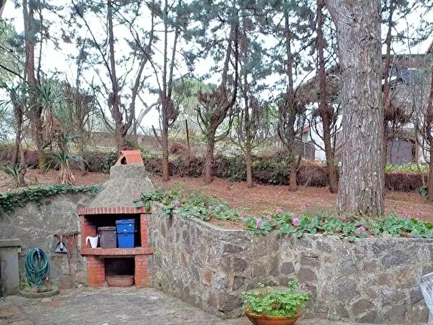 Immagine 3 di Villa in vendita  a Casciana Terme Lari