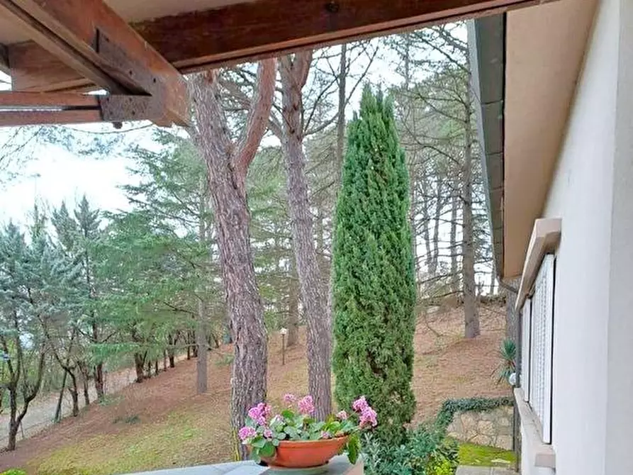 Immagine 2 di Villa in vendita  a Casciana Terme Lari