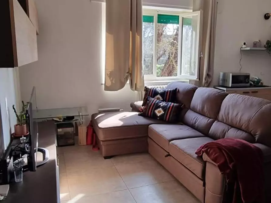 Immagine 7 di Appartamento in vendita  a Pontedera