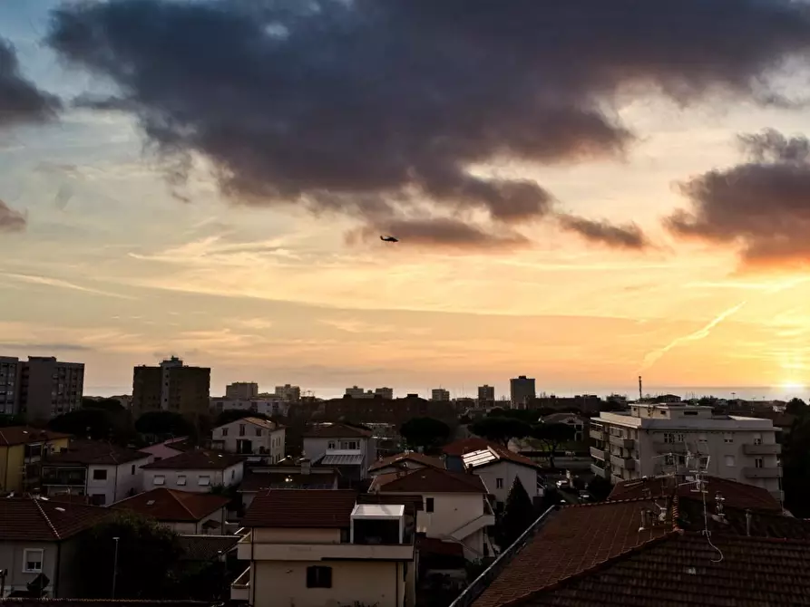 Immagine 22 di Appartamento in vendita  a Rosignano Marittimo