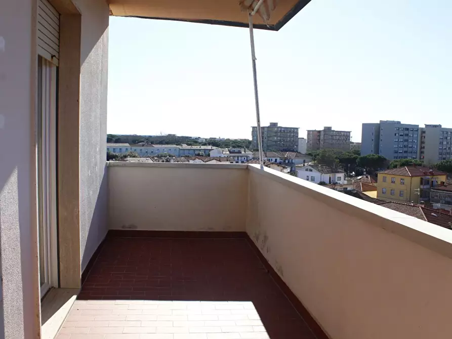 Immagine 20 di Appartamento in vendita  a Rosignano Marittimo