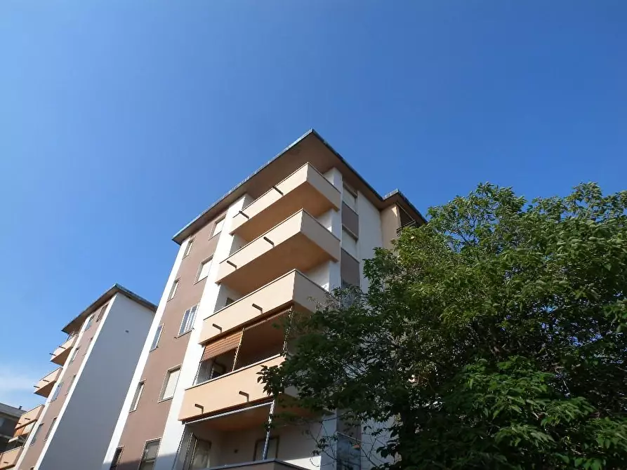 Immagine 21 di Appartamento in vendita  a Rosignano Marittimo