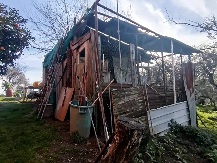 Immagine 6 di Casa indipendente in vendita  a Fosdinovo