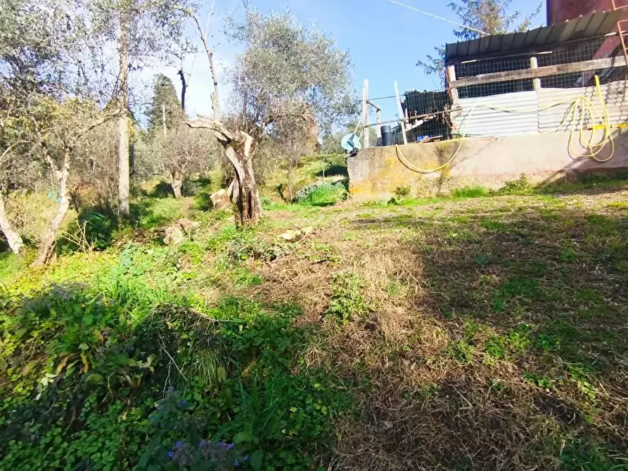 Immagine 23 di Casa indipendente in vendita  a Fosdinovo