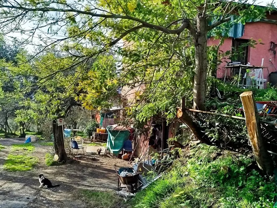 Immagine 5 di Casa indipendente in vendita  a Fosdinovo