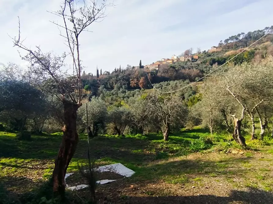 Immagine 26 di Casa indipendente in vendita  a Fosdinovo