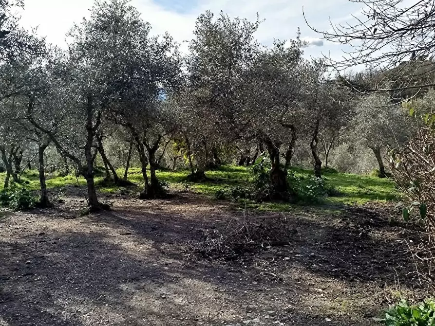 Immagine 25 di Casa indipendente in vendita  a Fosdinovo