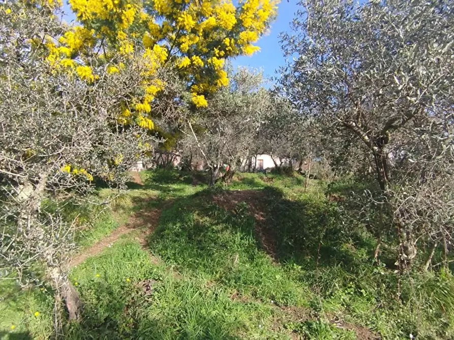 Immagine 27 di Casa indipendente in vendita  a Fosdinovo