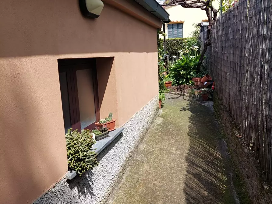 Immagine 23 di Appartamento in vendita  a Terricciola