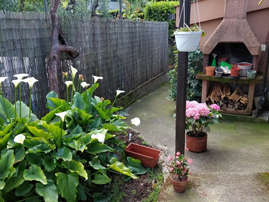 Immagine 21 di Appartamento in vendita  a Terricciola