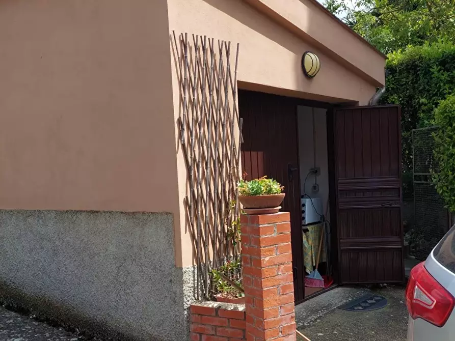 Immagine 24 di Appartamento in vendita  a Terricciola